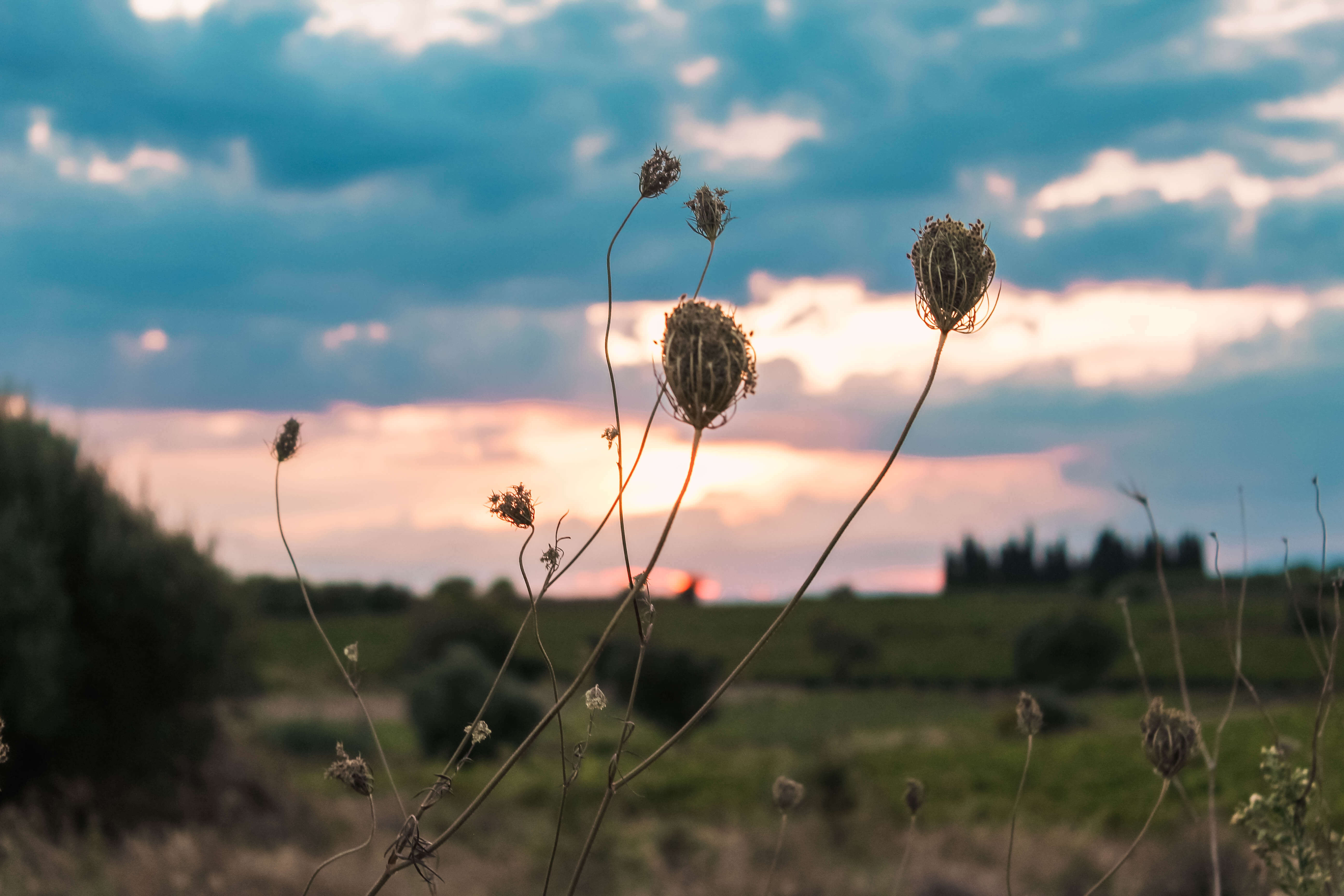 sunset in France